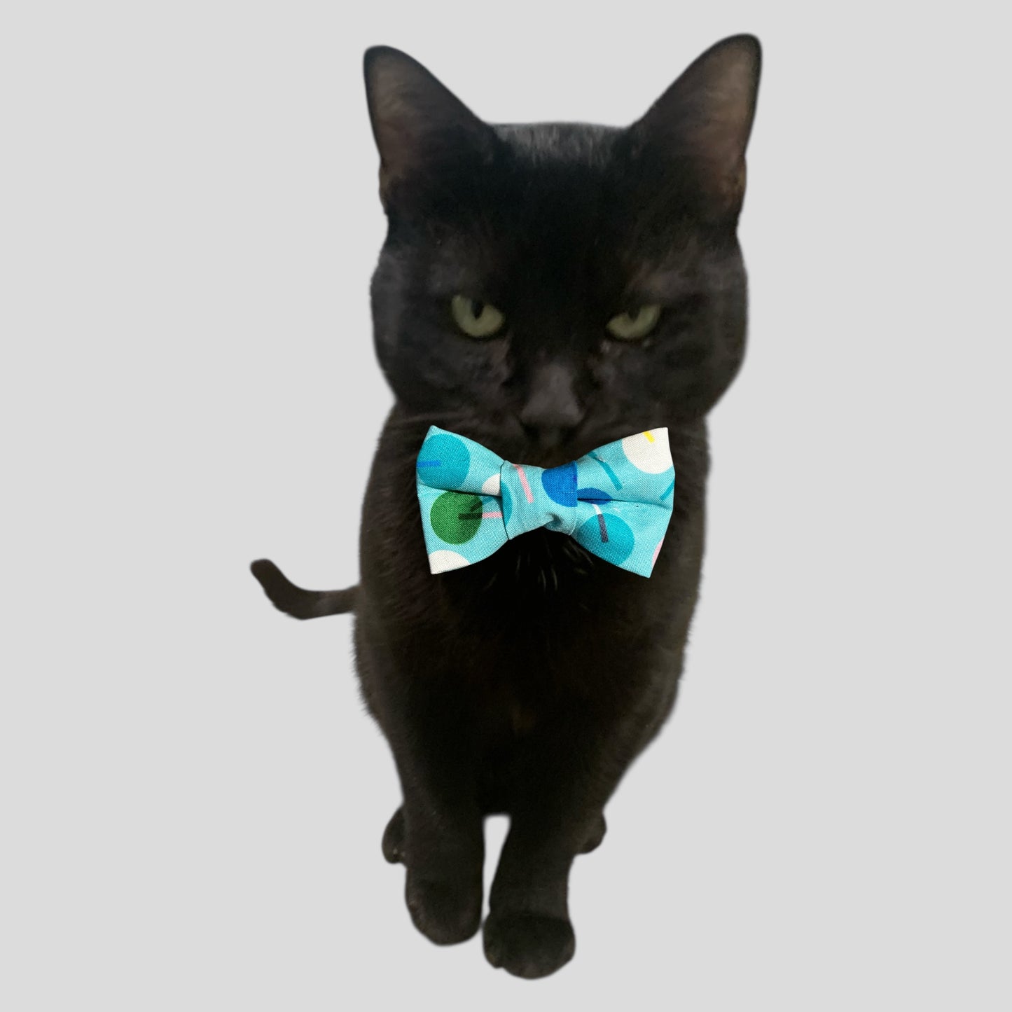 Black cat wearing a colorful bow tie on a light gray background