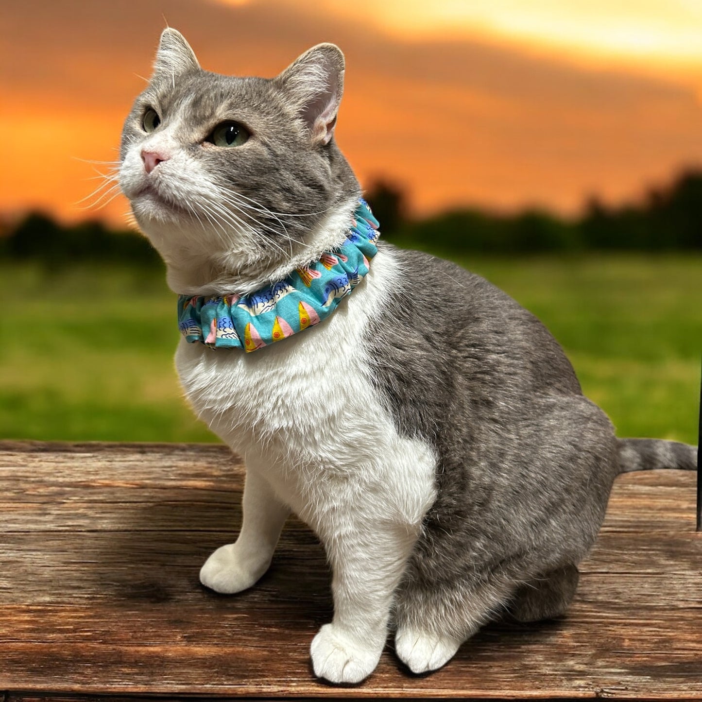 MeowBand Elastic Cat Collar-Fish