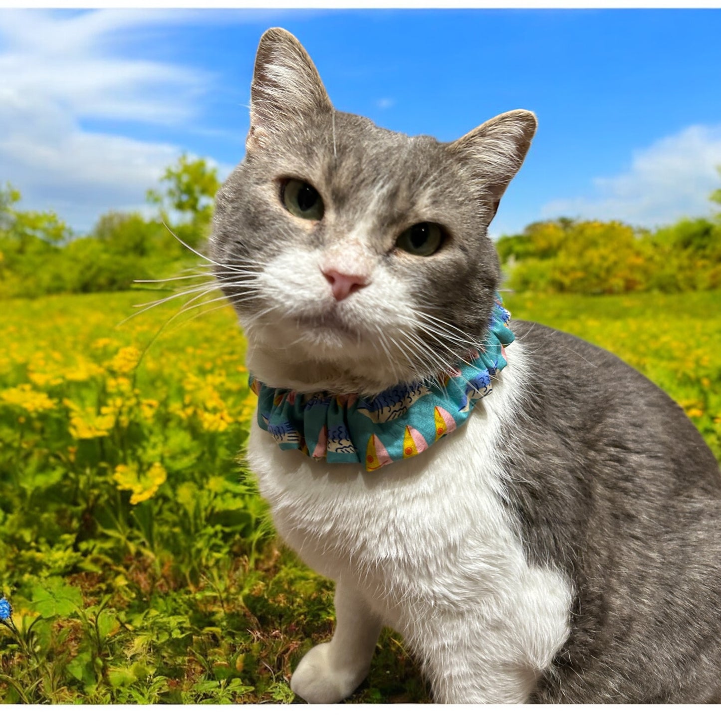 MeowBand Elastic Cat Collar-Fish