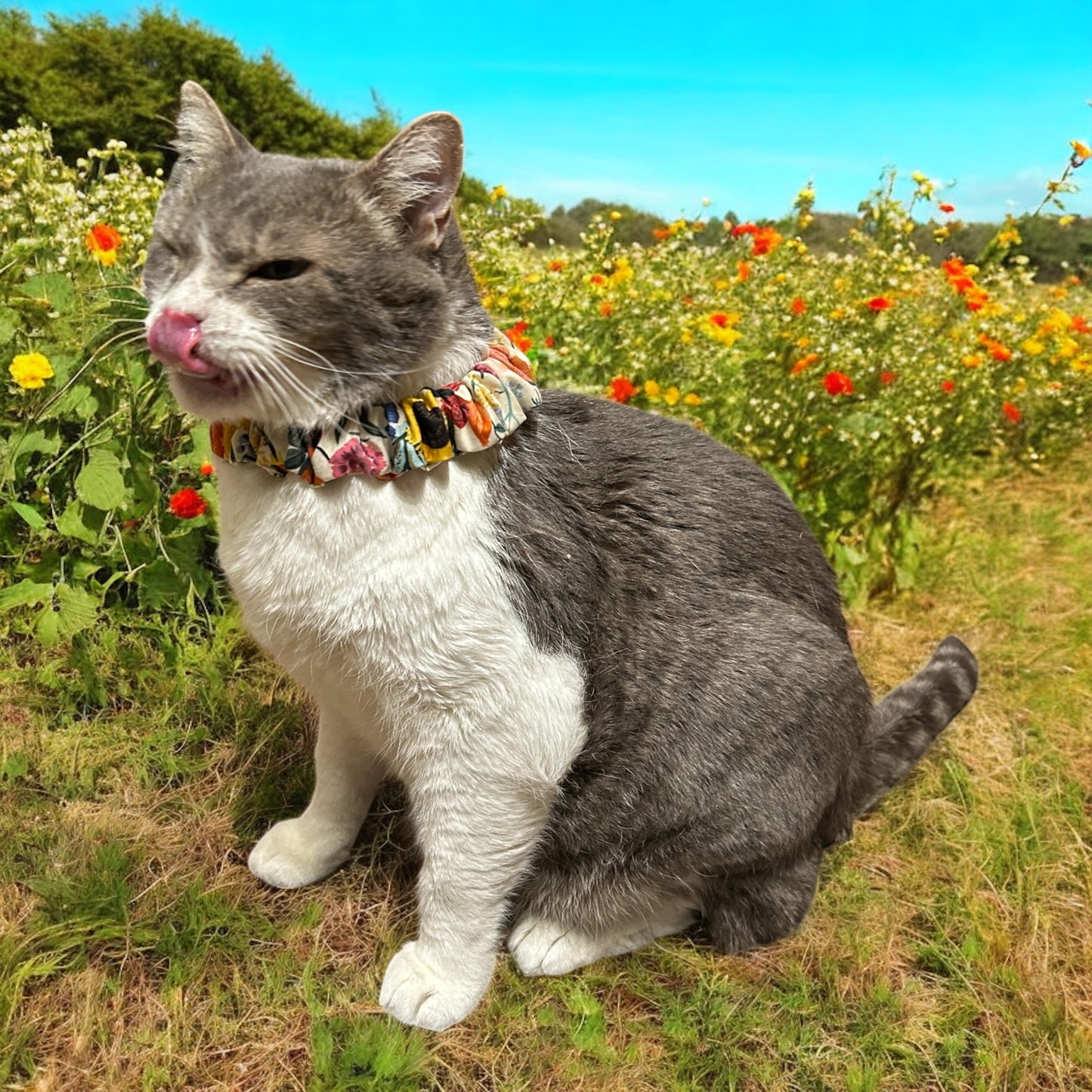 MeowBand Elastic Cat Collar-GardenWhimsy