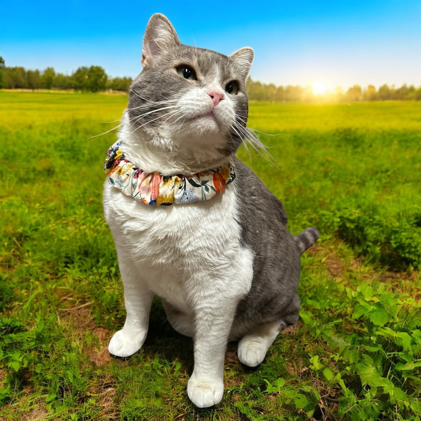 MeowBand Elastic Cat Collar-GardenWhimsy