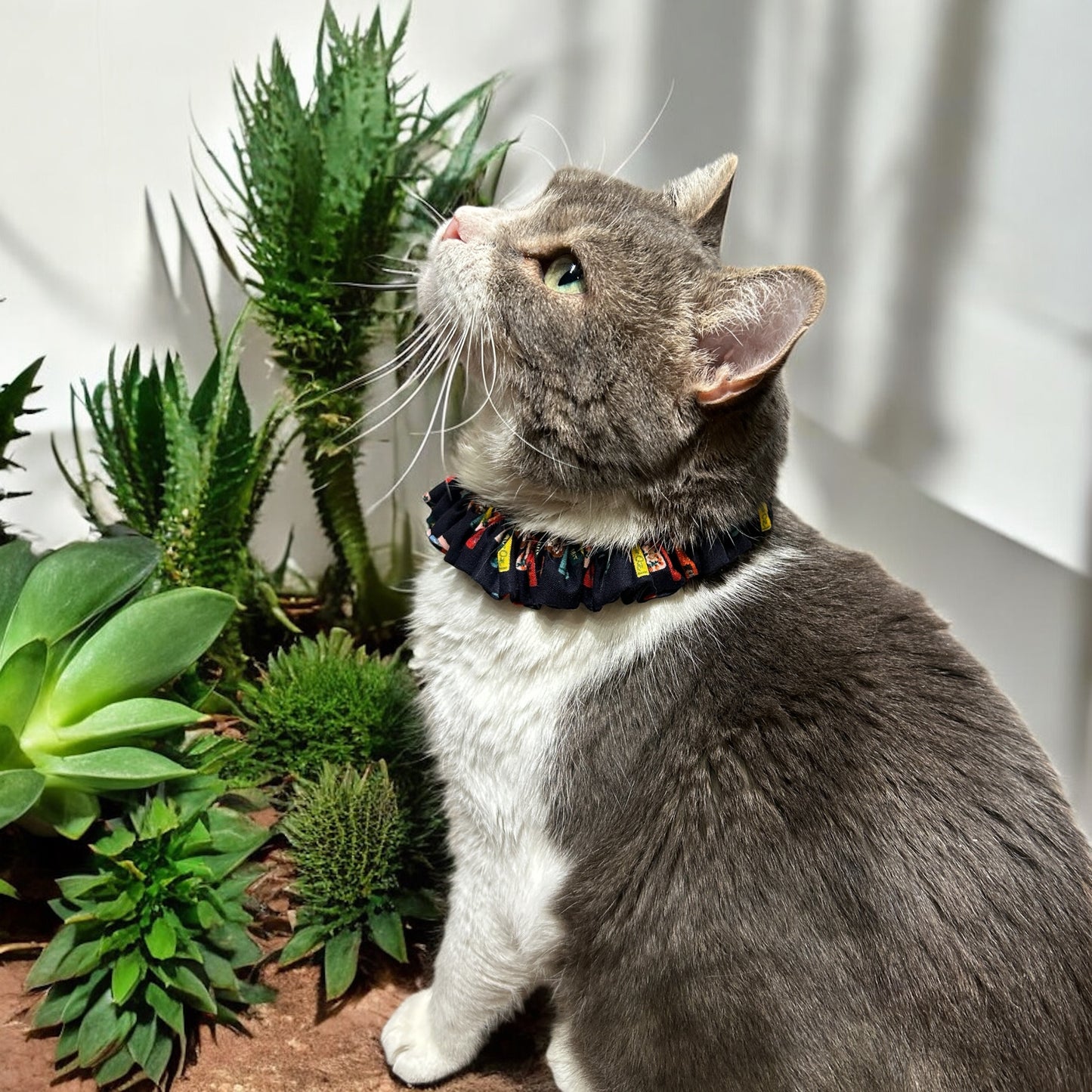 MeowBand Elastic Cat Collar-Litcharm