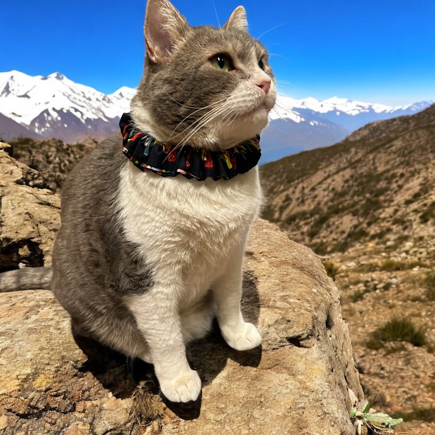 MeowBand Elastic Cat Collar-Litcharm