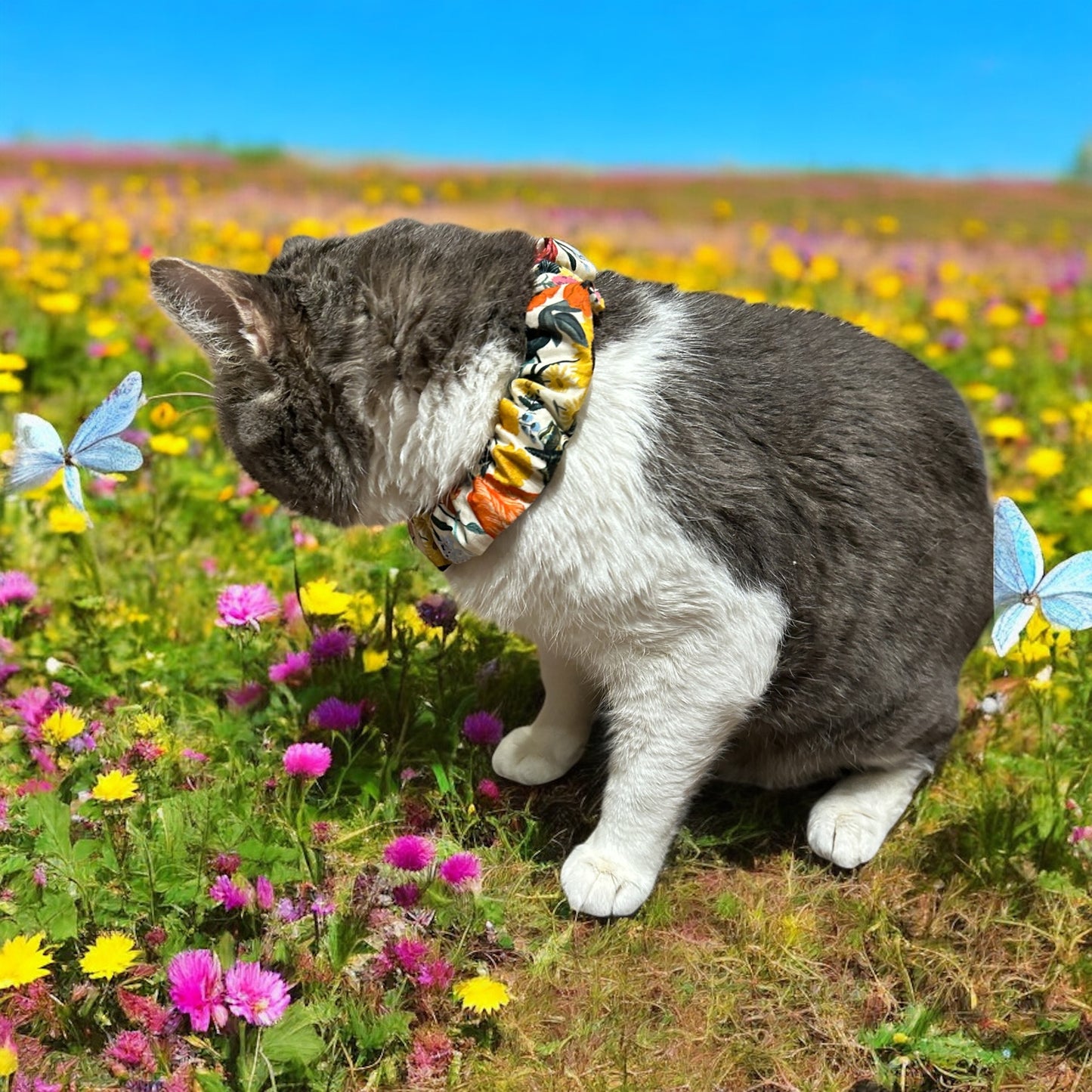 MeowBand Elastic Cat Collar-RoseHaven