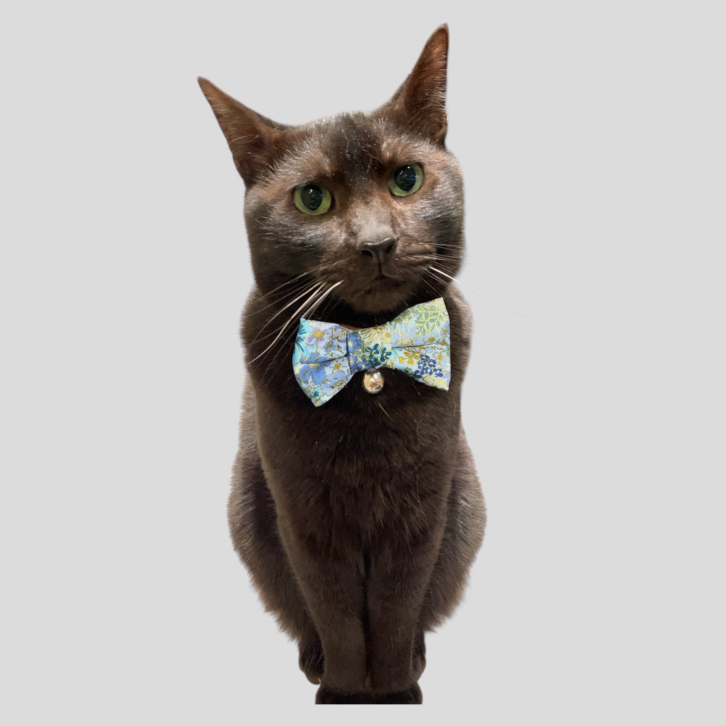 Cat Bow Tie-ShimmerMeadow