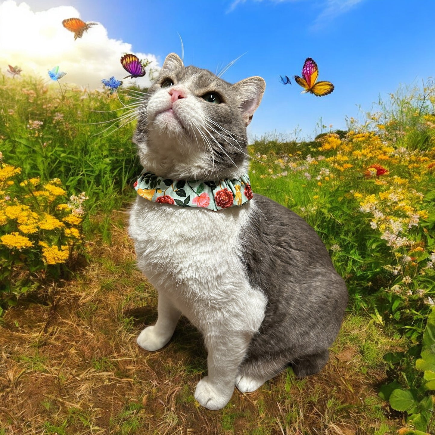 MeowBand Elastic Cat Collar-RoseHaven
