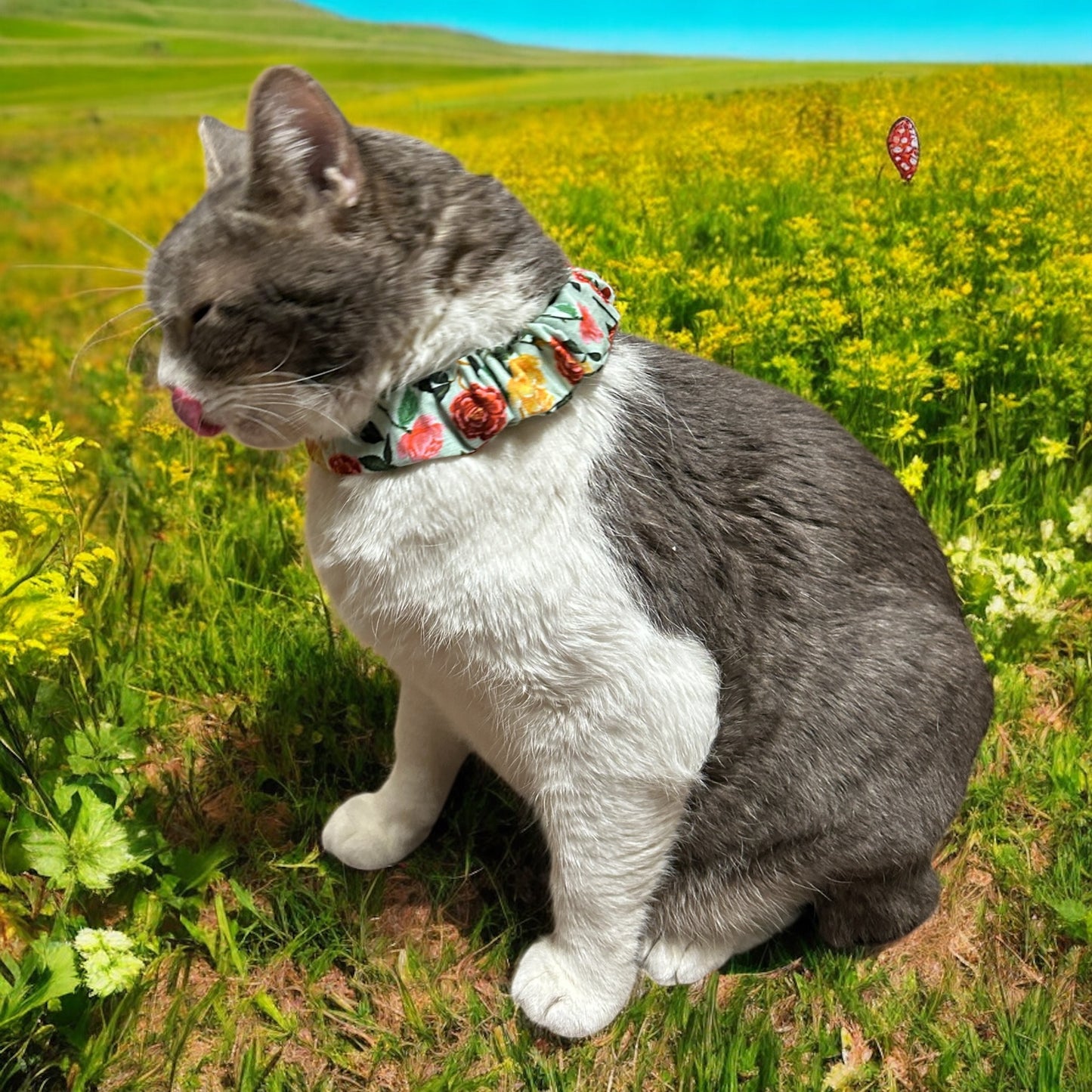MeowBand Elastic Cat Collar-RoseHaven