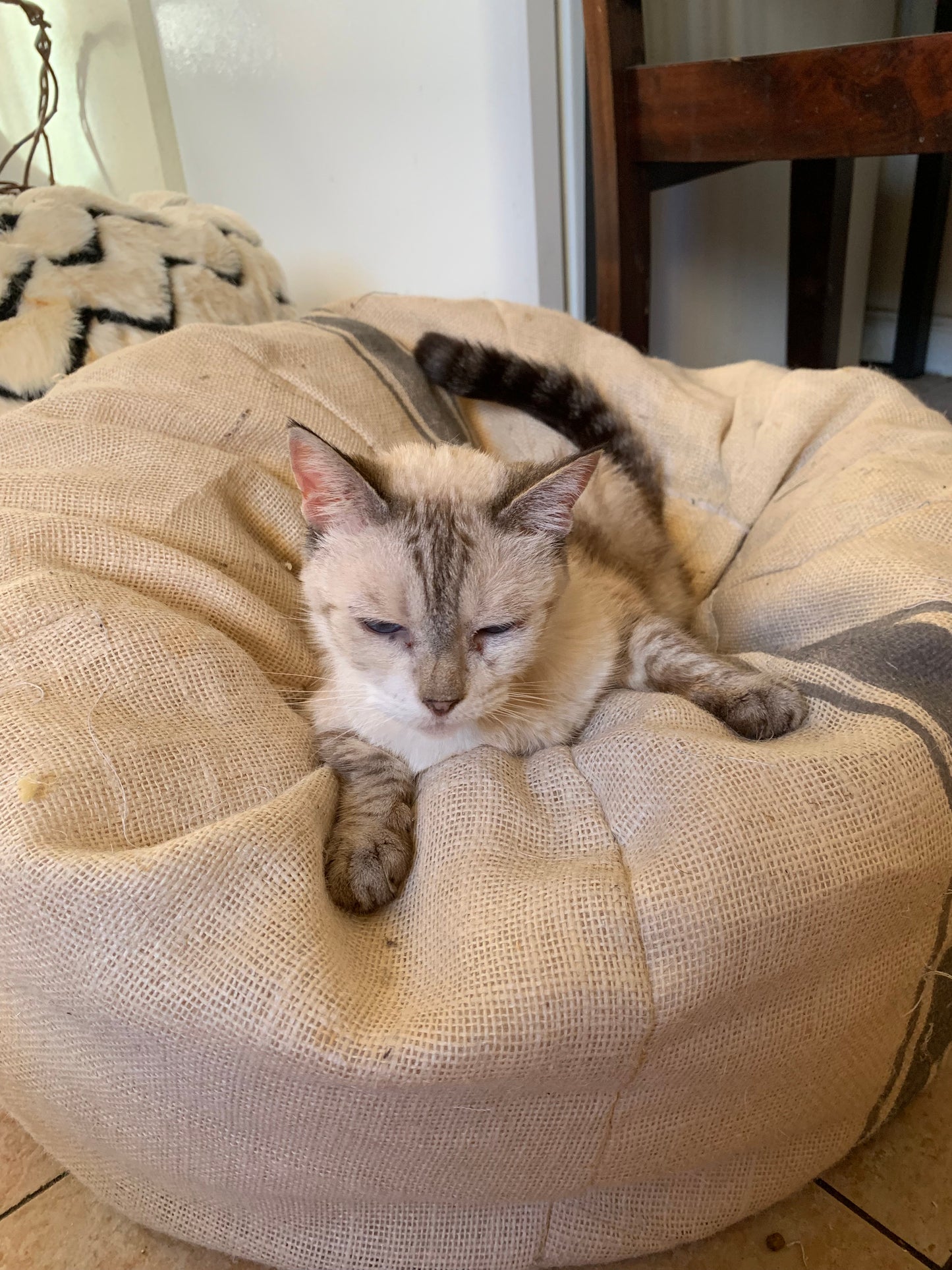 Tuscany Burlap Bean Bag Pouf - Cover Only