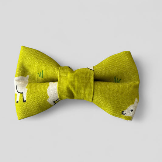 Green bow tie with animal pattern on a light gray background