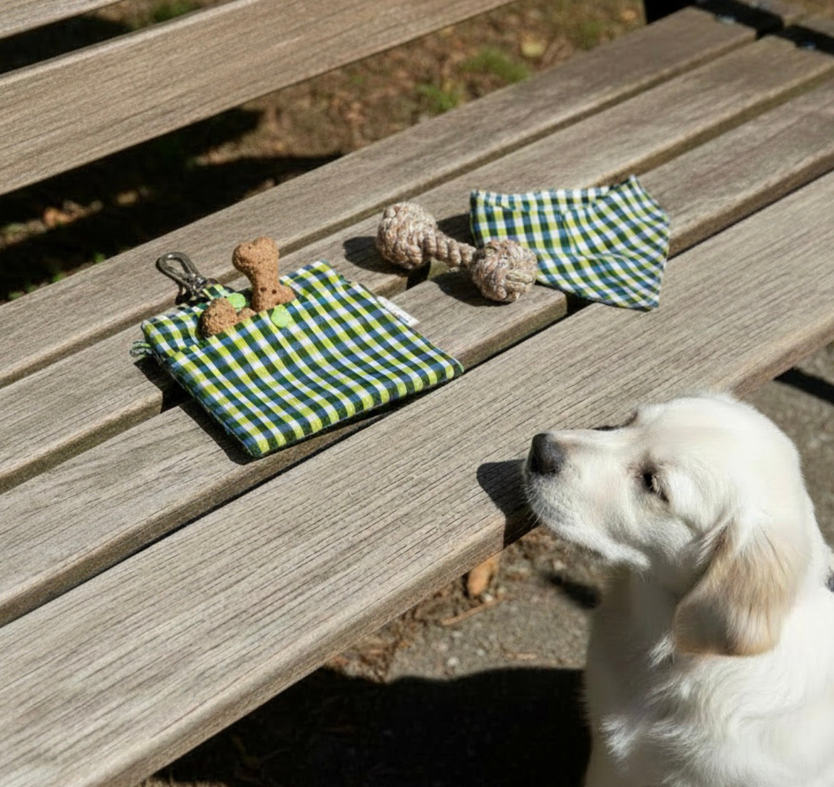Gingham Dog Treat Pouch