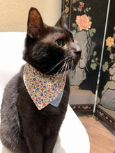 Load image into Gallery viewer, Evie Cat Bandana-Floral &amp; Stripe