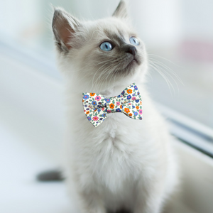 Evie Cat Bow Tie-Mini Floral