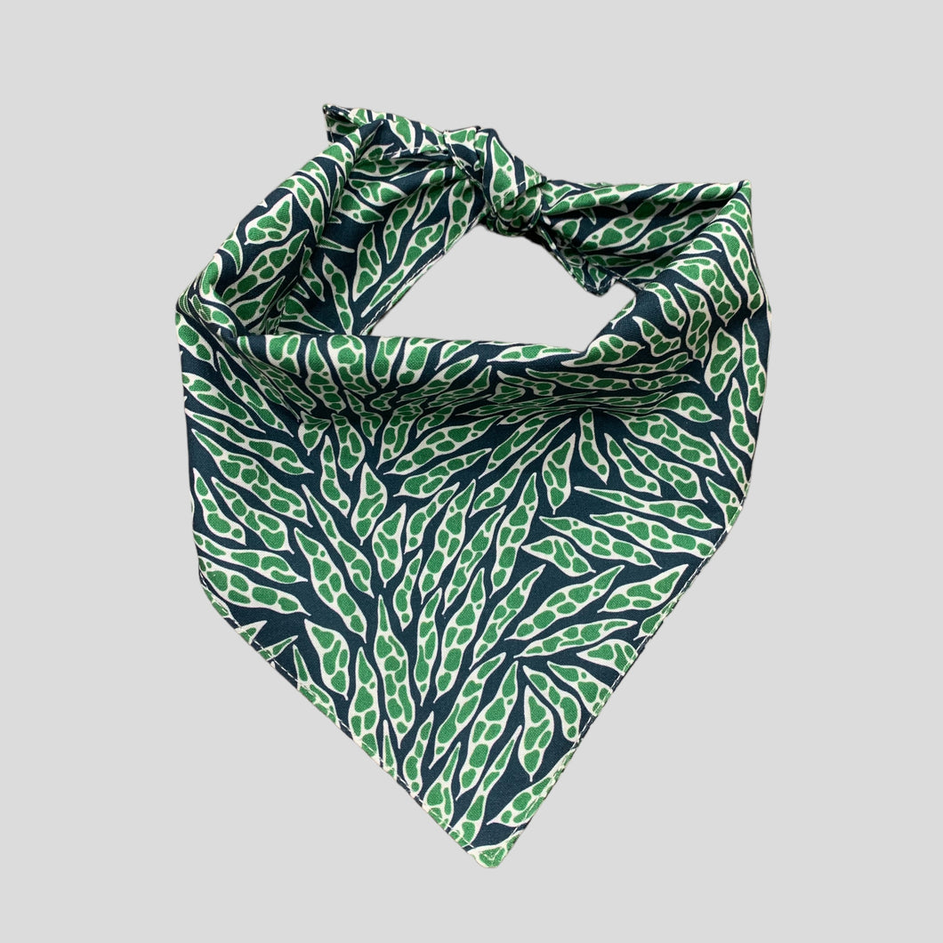 EDAMAME DOG BANDANA-GREEN & NAVY