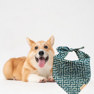 Michelle Dog Bandana-Green Gingham