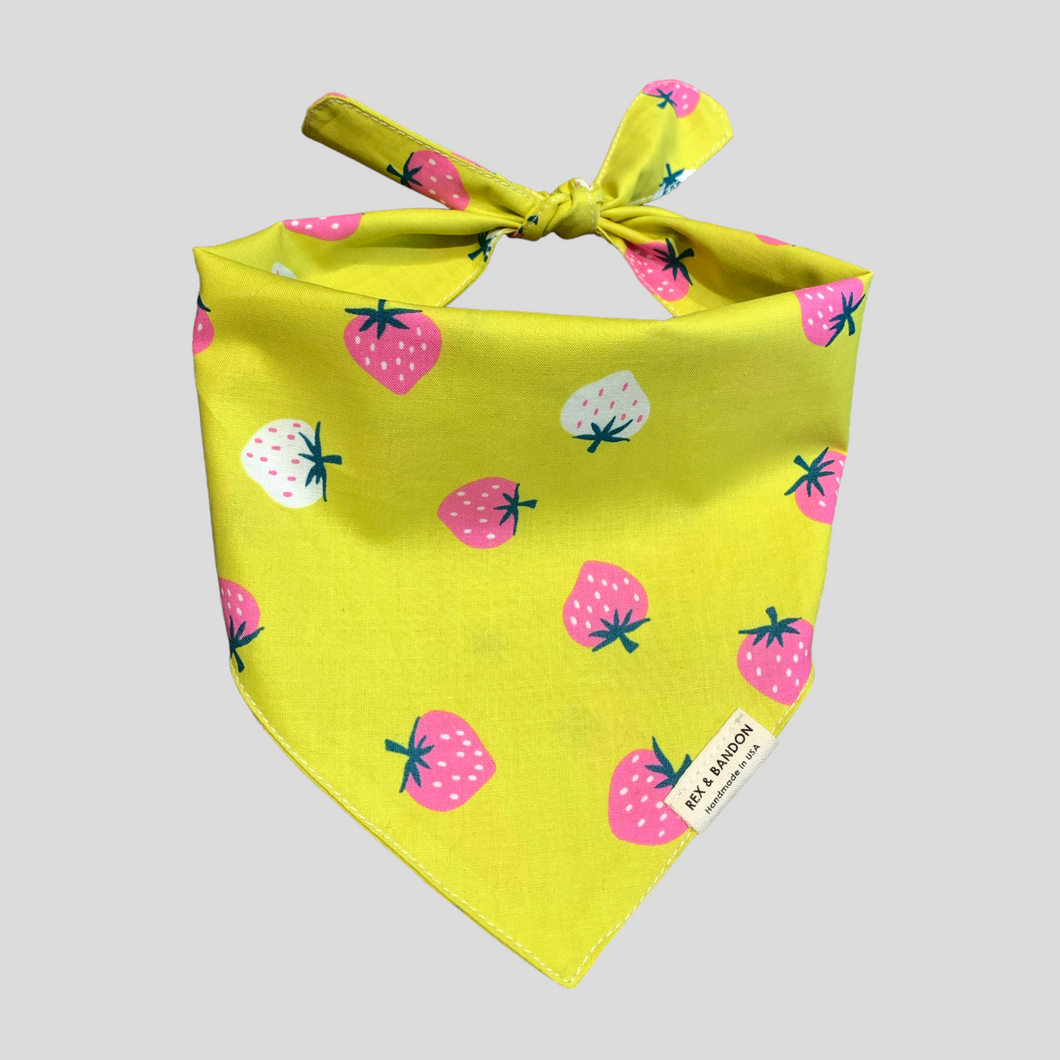 Maggie Dog Bandana Tie Back - Yellowy & Strawberry