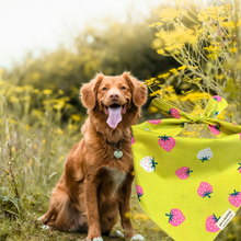 Load image into Gallery viewer, Maggie Dog Bandana-Strawberry &amp; Yellowy