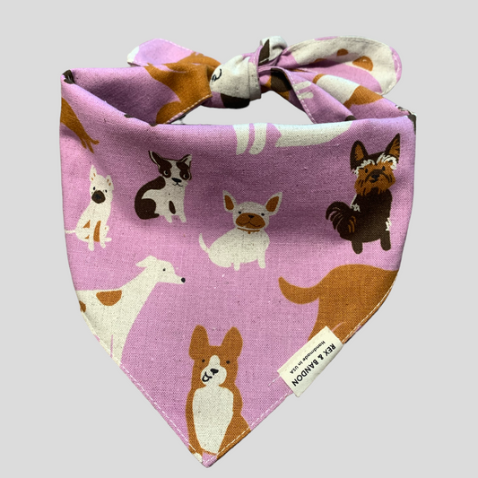 LolaKnot Dog Bandana Tie Back-DogPark