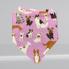 Load image into Gallery viewer, Max Dog Bandana Tie Back - Dog Park &amp; Lilc