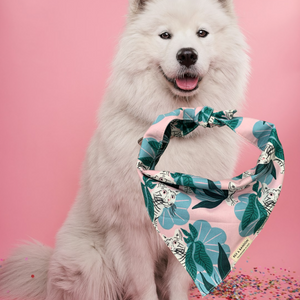 ZARA DOG BANDANA-WHITE TIGER