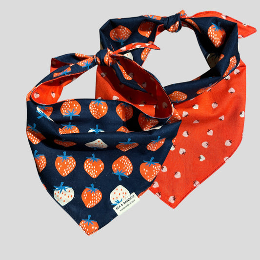 LolaKnot Reversible Dog Bandana-Berry