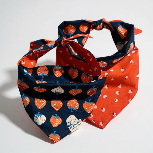 Dog Bandana Reversible Tie-Back - Strawberry