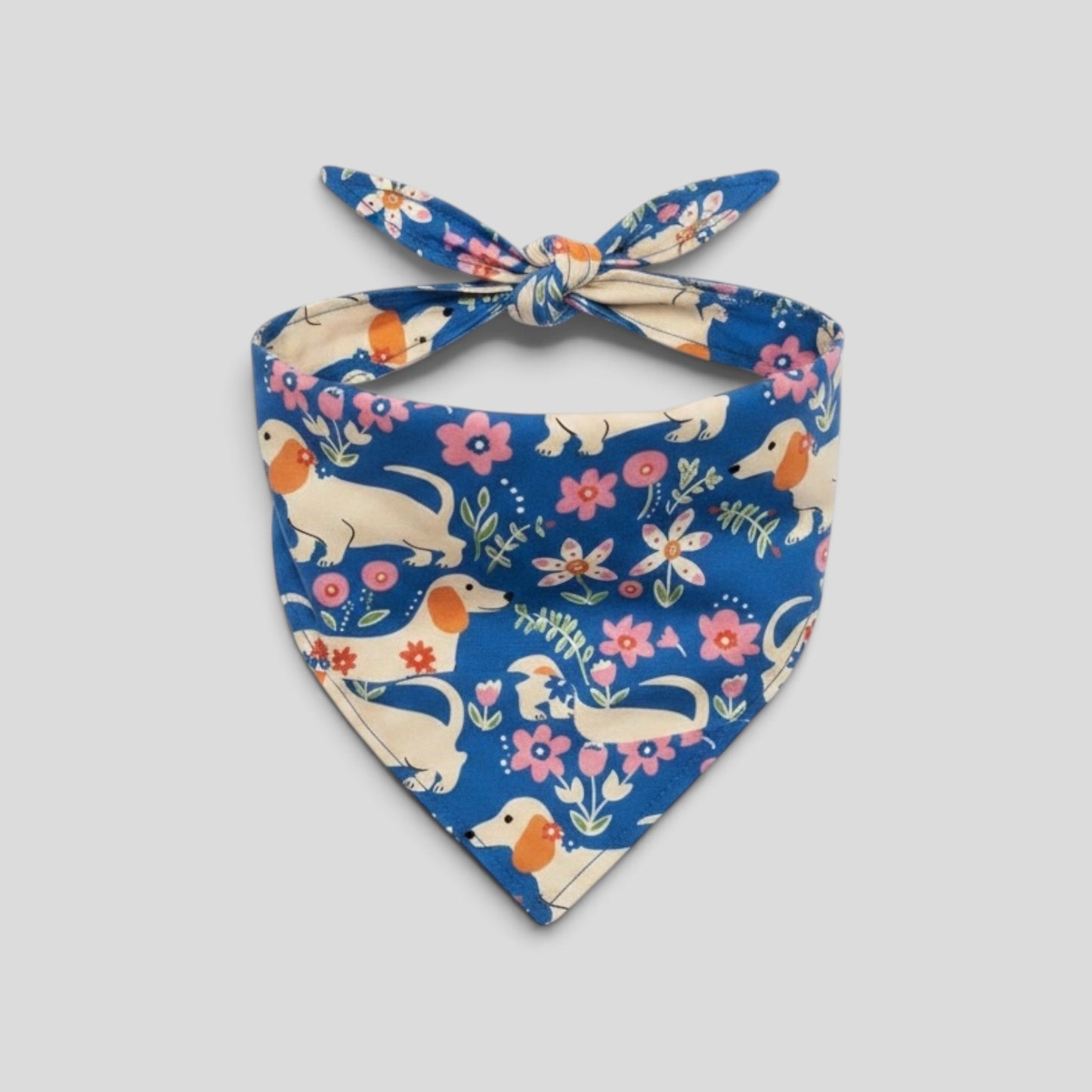 Doxie Dog Bandana