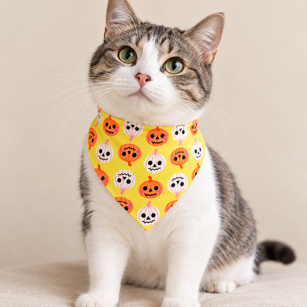 Pumpkin Parade Halloween Snap-Button Cat Bandana