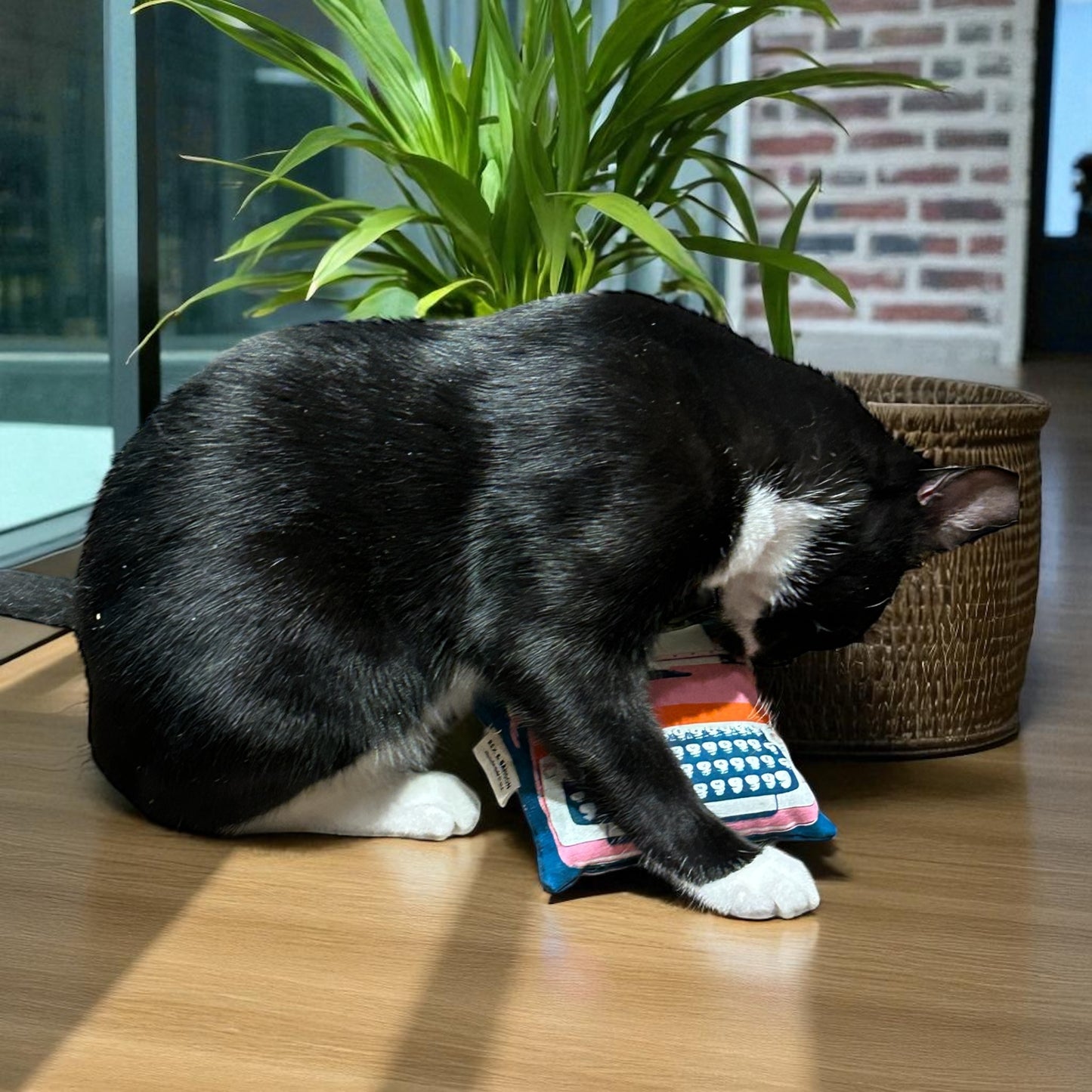 A close-up of a large square catnip pouch toy on a clean white background. The pouch is crafted from durable cotton fabric in a modern vintage typewriter print with vibrant colors. It measures approximately 5.5 x 5 inches, plumply stuffed with potent organic catnip and features a hidden crinkle nose inside for added sound play. Simple, sturdy stitching along the edges ensures long-lasting fun for kicking, wrestling, and cuddling. Handmade with love.