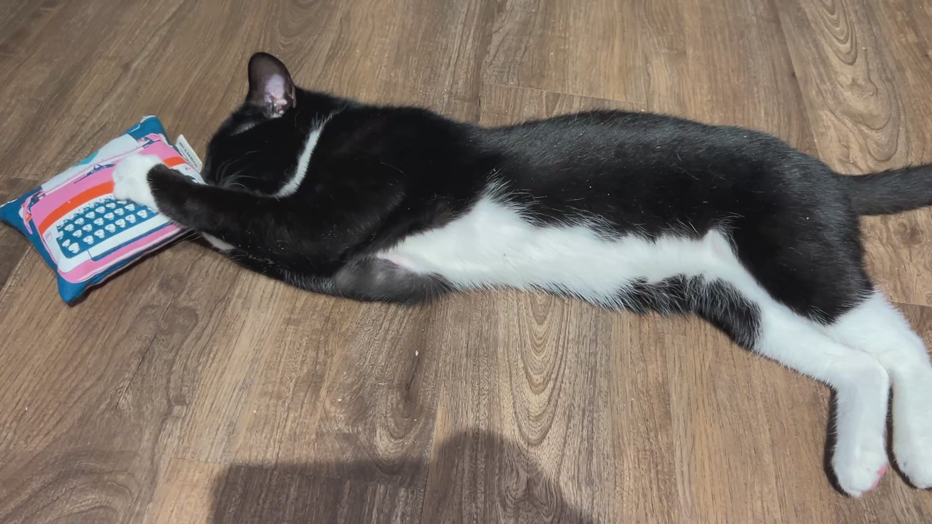 A close-up of a large square catnip pouch toy on a clean white background. The pouch is crafted from durable cotton fabric in a modern vintage typewriter print with vibrant colors. It measures approximately 5.5 x 5 inches, plumply stuffed with potent organic catnip and features a hidden crinkle nose inside for added sound play. Simple, sturdy stitching along the edges ensures long-lasting fun for kicking, wrestling, and cuddling. Handmade with love.